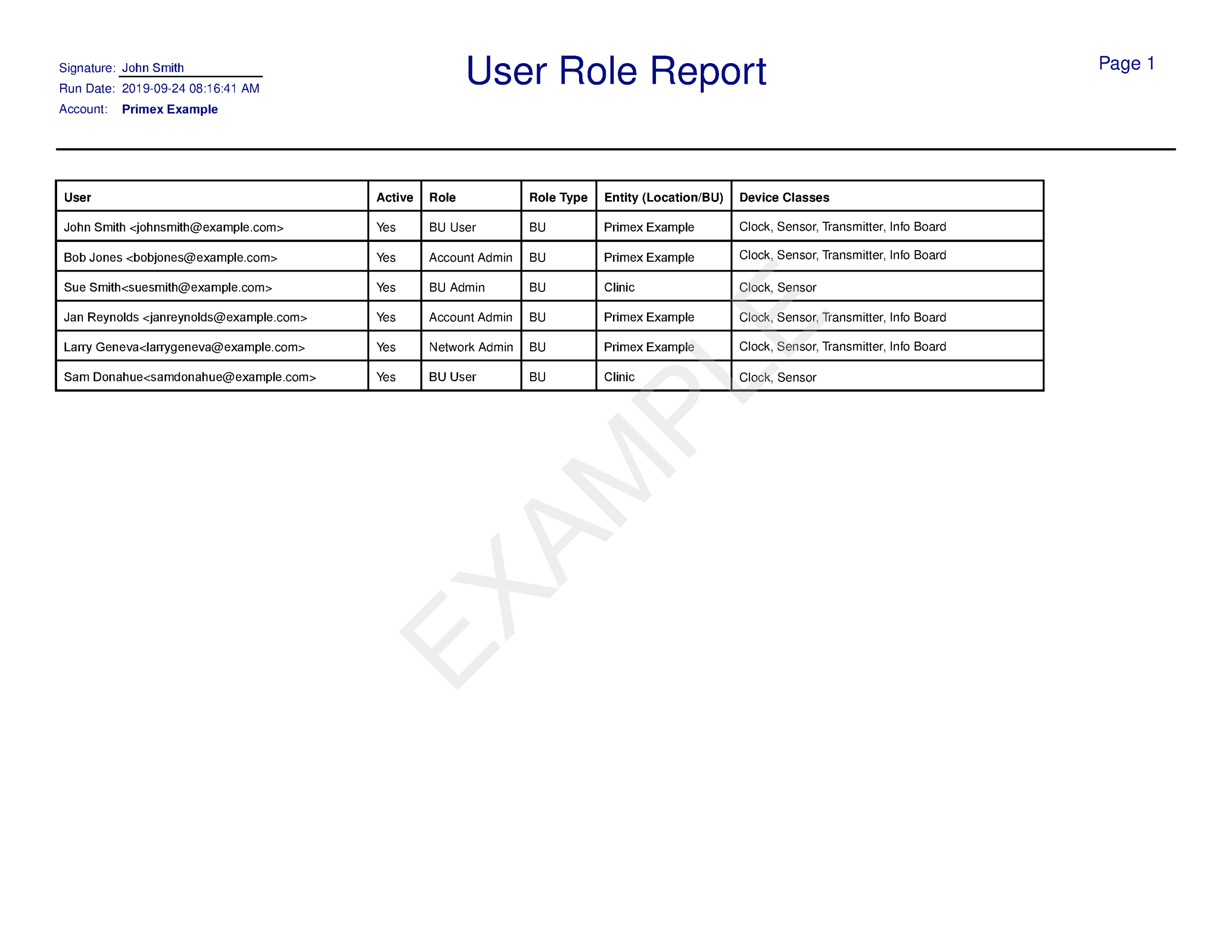 User_Role_Report.pdf